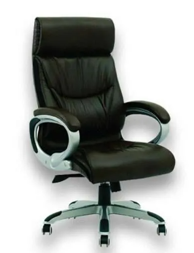 CEO